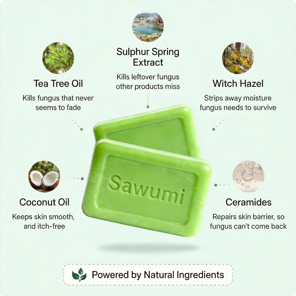 How the antifungal bar works