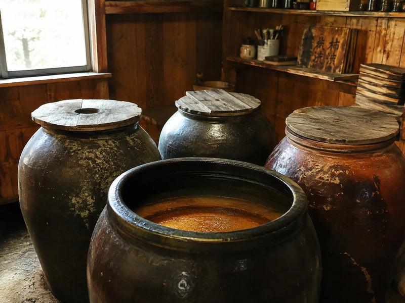 Clay vats of fermented persimmon tannin, kakishibu, in a Japanese workshop