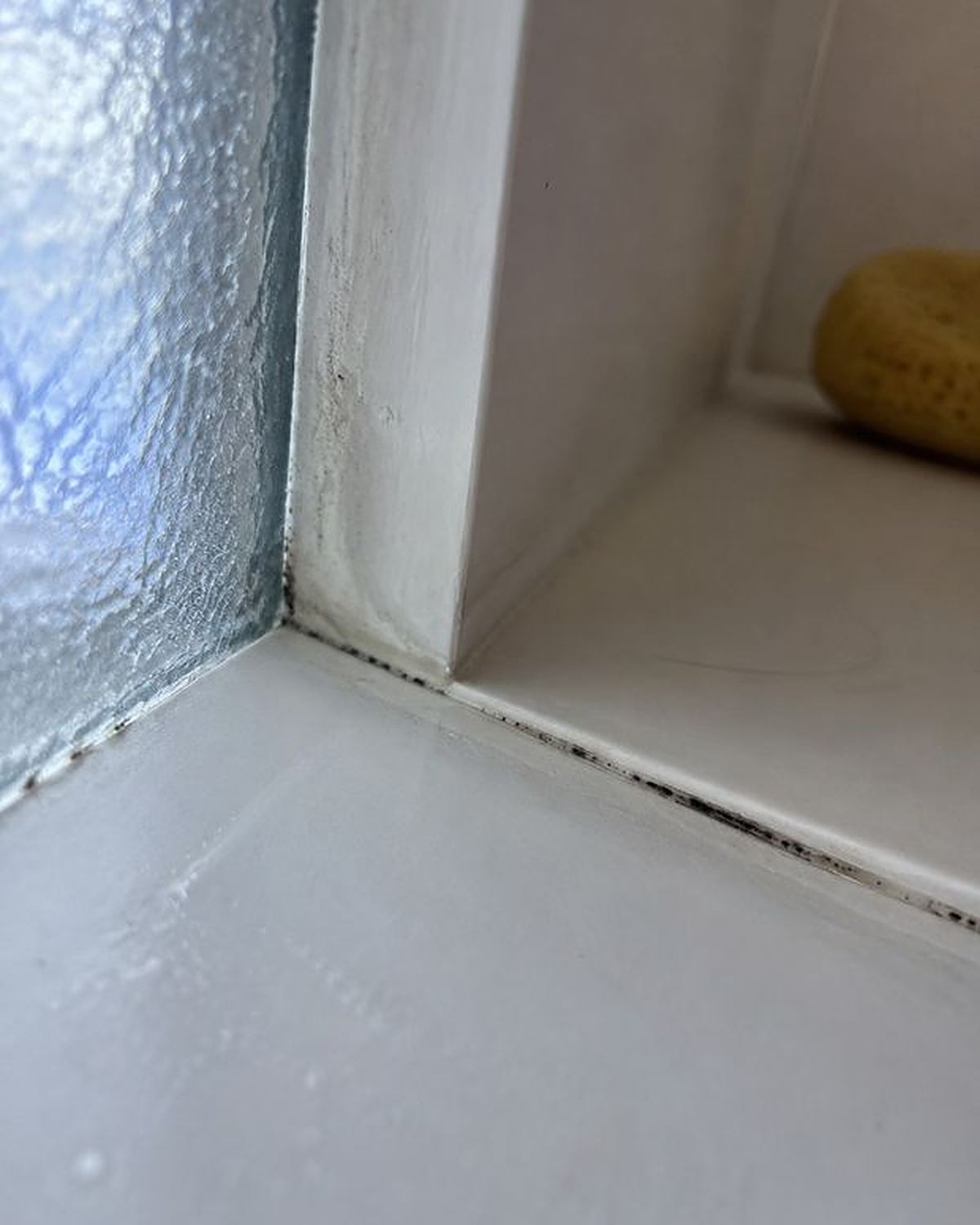 Dark mold line in the caulk of a shower corner